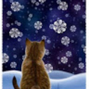 Meet your Posher, Carmen